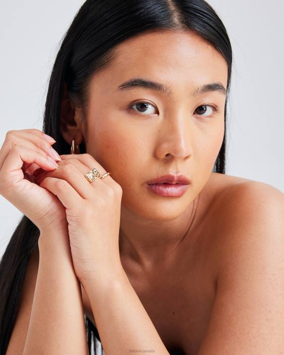 Bik Bok BR Zina Gold Accessories LPZ4503